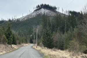 Dobbs Mountain