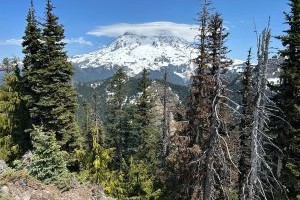 Glacier View Wilderness 