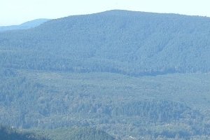 Up Wind 