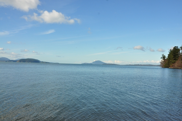 Lummi Island 