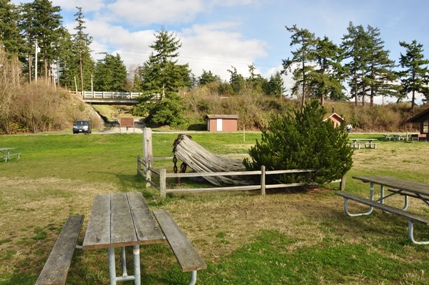 picnic area