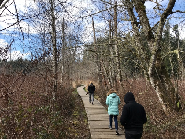 boardwalk