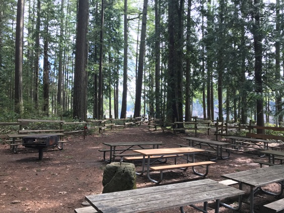 picnic tables