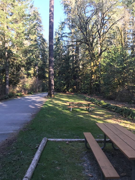 Picnic area