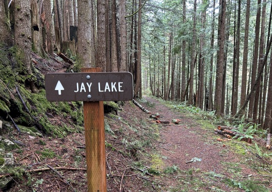 Jay Lake