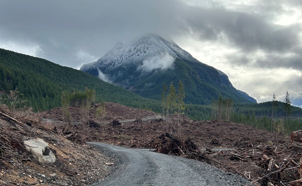 Nina Peak