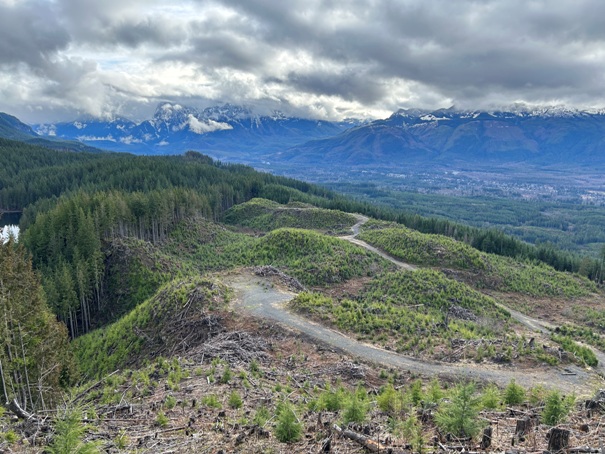 Skykomish River Valley 