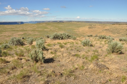 Steamboat Rock 