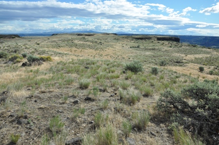 Steamboat Rock 