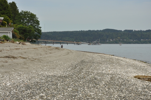 Suquamish Beach