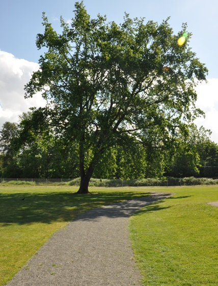 Portland Avenue Park