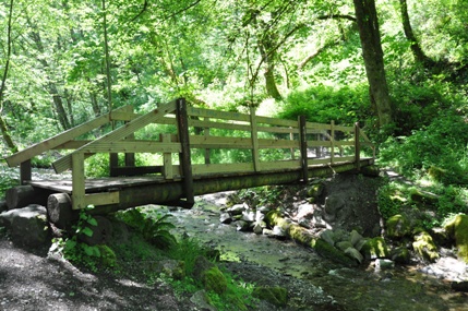 Swan Creek bridge