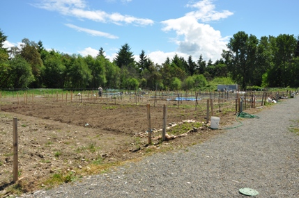 Community Garden