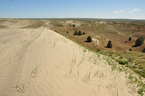 juniper dunes