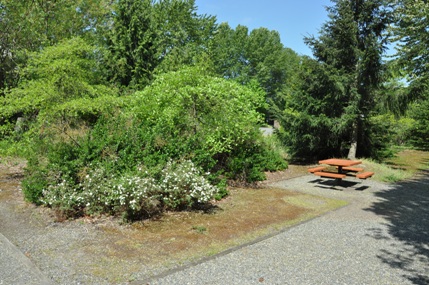 Tukwila Pond Park