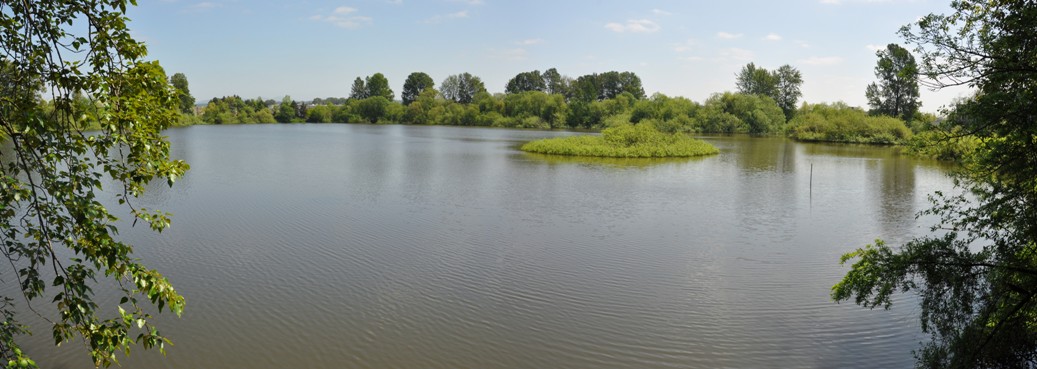 Tukwila Pond 