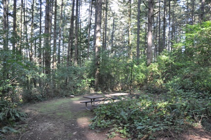 battle ground lake picnic