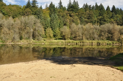 paradise point beach