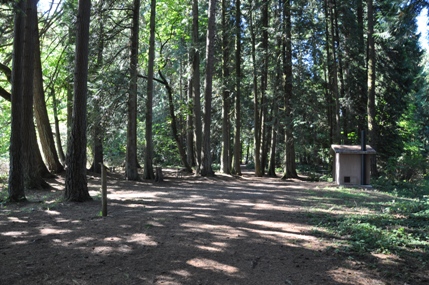 paradise point camp