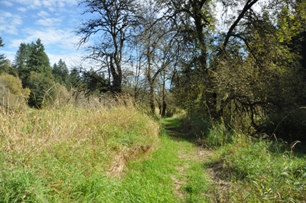 lewis river trail