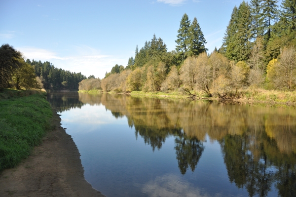 Lewis River