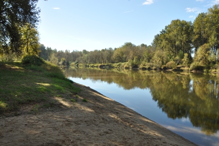 Lewis River