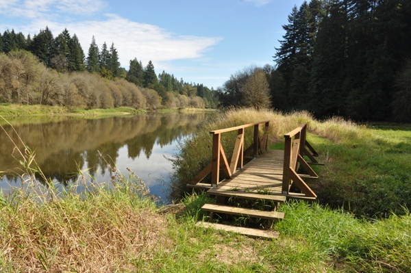 Lewis River