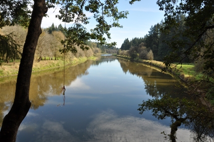 lewis river