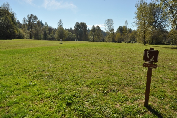 Disc Golf 