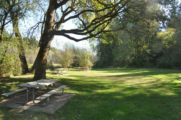 Picnic area