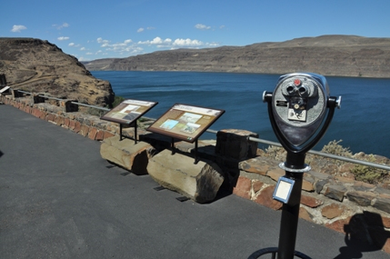 Ginkgo Petrified Forest 