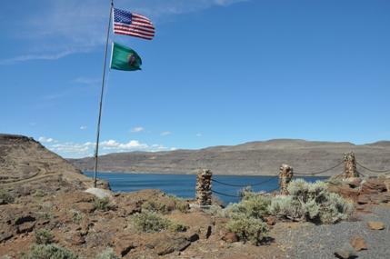 Ginkgo Petrified Forest 