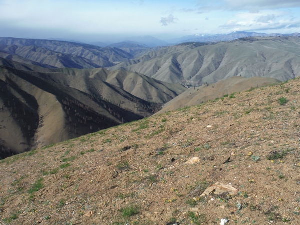 entiat river valley