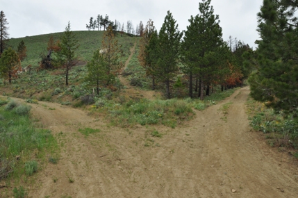 Horse Lake Mountain