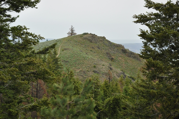 horse lake mountain