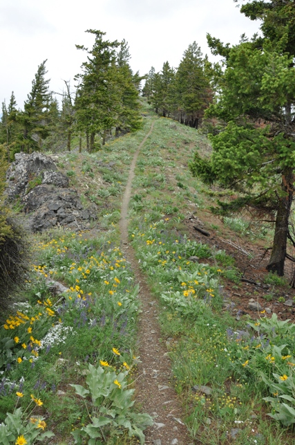 horse lake mountain