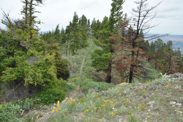 Horse Lake Mountain