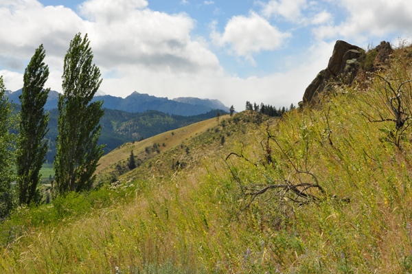 Peshastin Pinnacles 