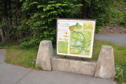 mount rainer overlook