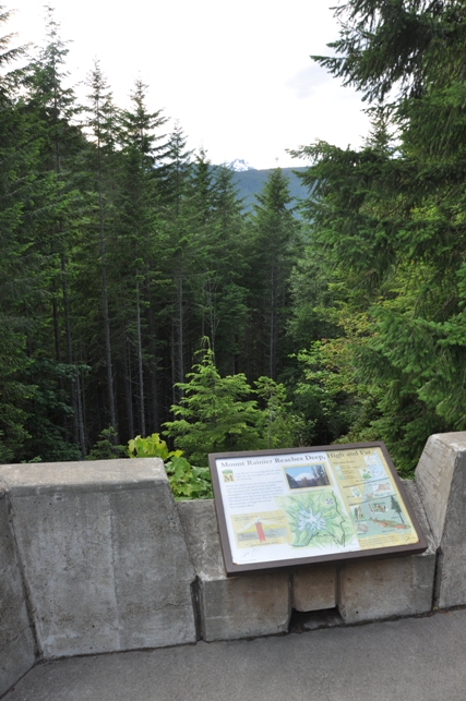 mount rainer overlook