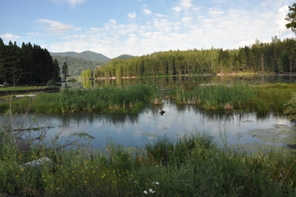 Rimrock Lake 