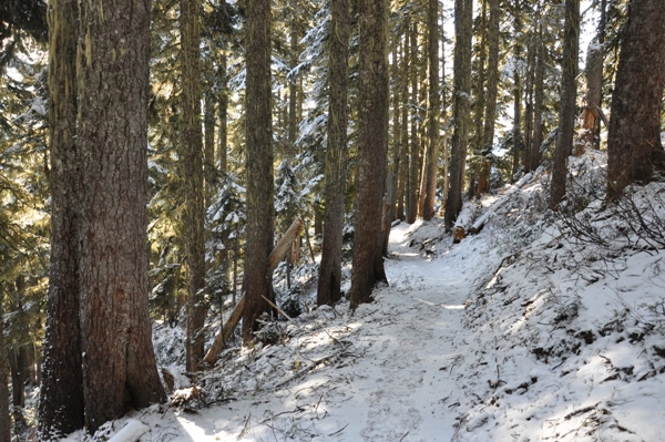 Trail to Beckler Peak