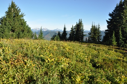 cascade mountains