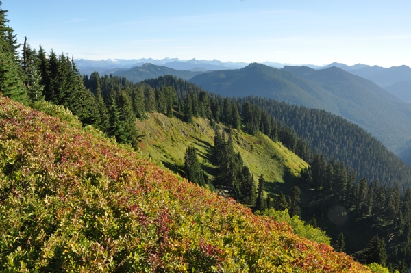 Scorpion Mountain