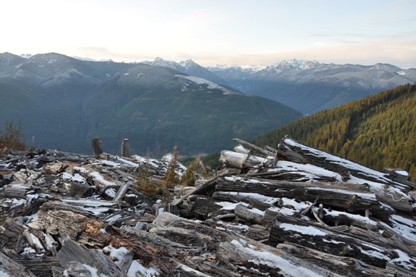 logging landing