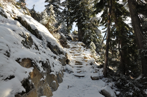 Trail to Beckler Peak