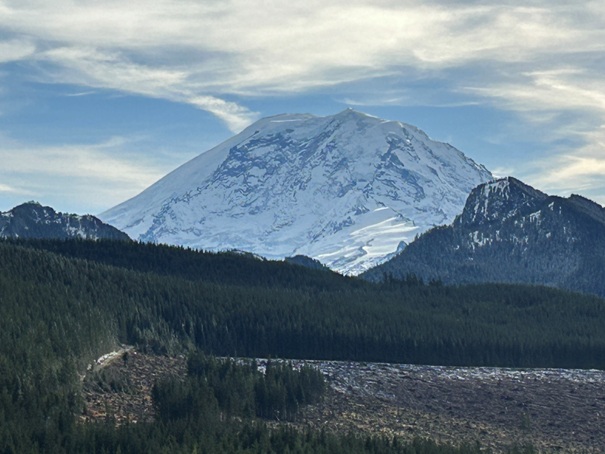 Mount Rainier 