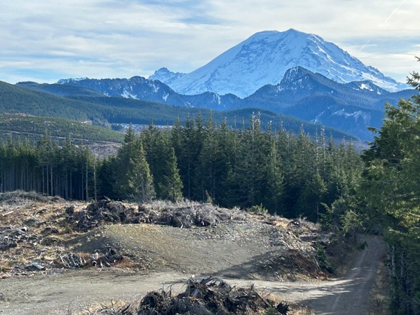 The Three Sisters 