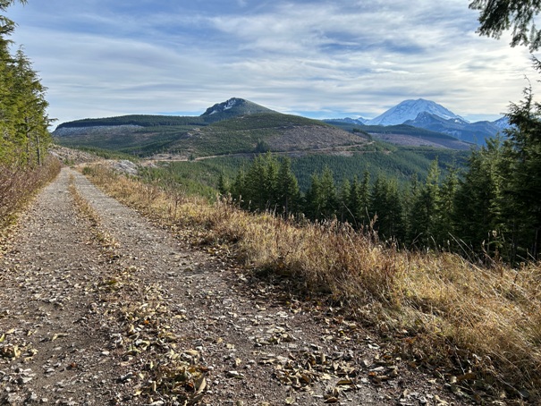 The Three Sisters 