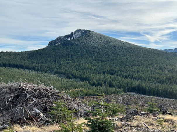 south sister